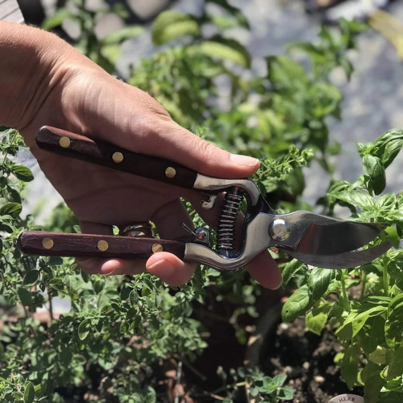 1 szt. Nożyce do przycinania z – Bonsai Garden Knife recenzja i cena