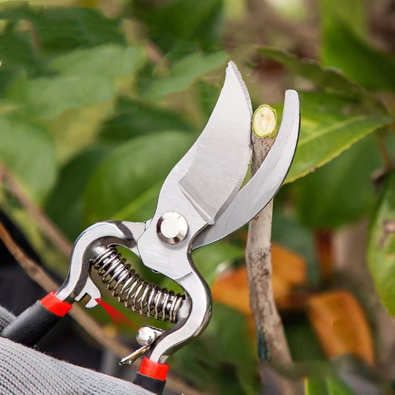Sekator Ogrodowy Nożyce do Prz – Bonsai Garden Knife recenzja i cena