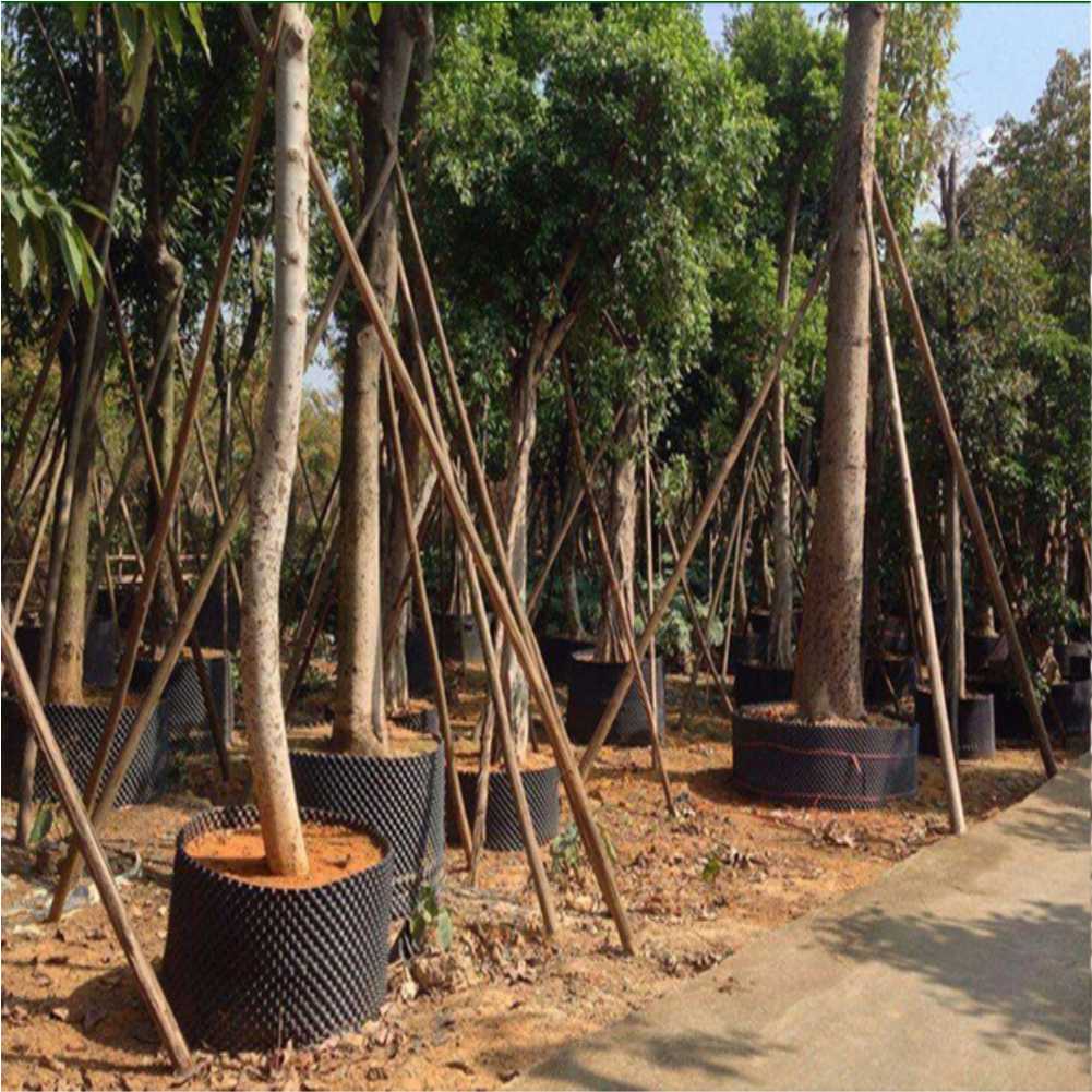 Szybki uprawiacz do roślin don – Bonsai Garden Nursery recenzja i cena