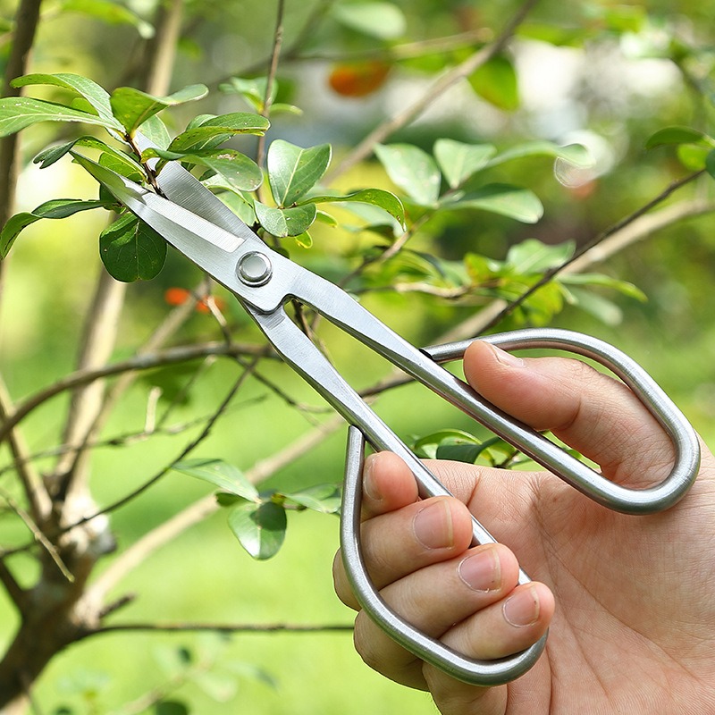 Nożyczki do drzewek bonsai Ten – Bonsai Garden Knife recenzja i cena