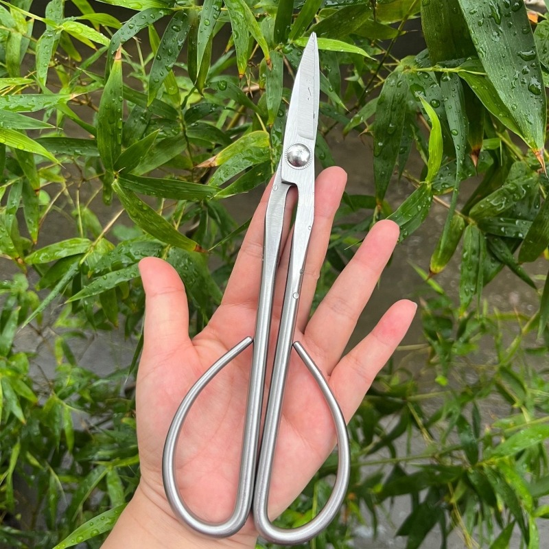 Nożyczki do drzewek bonsai Ten – Bonsai Garden Knife recenzja i cena