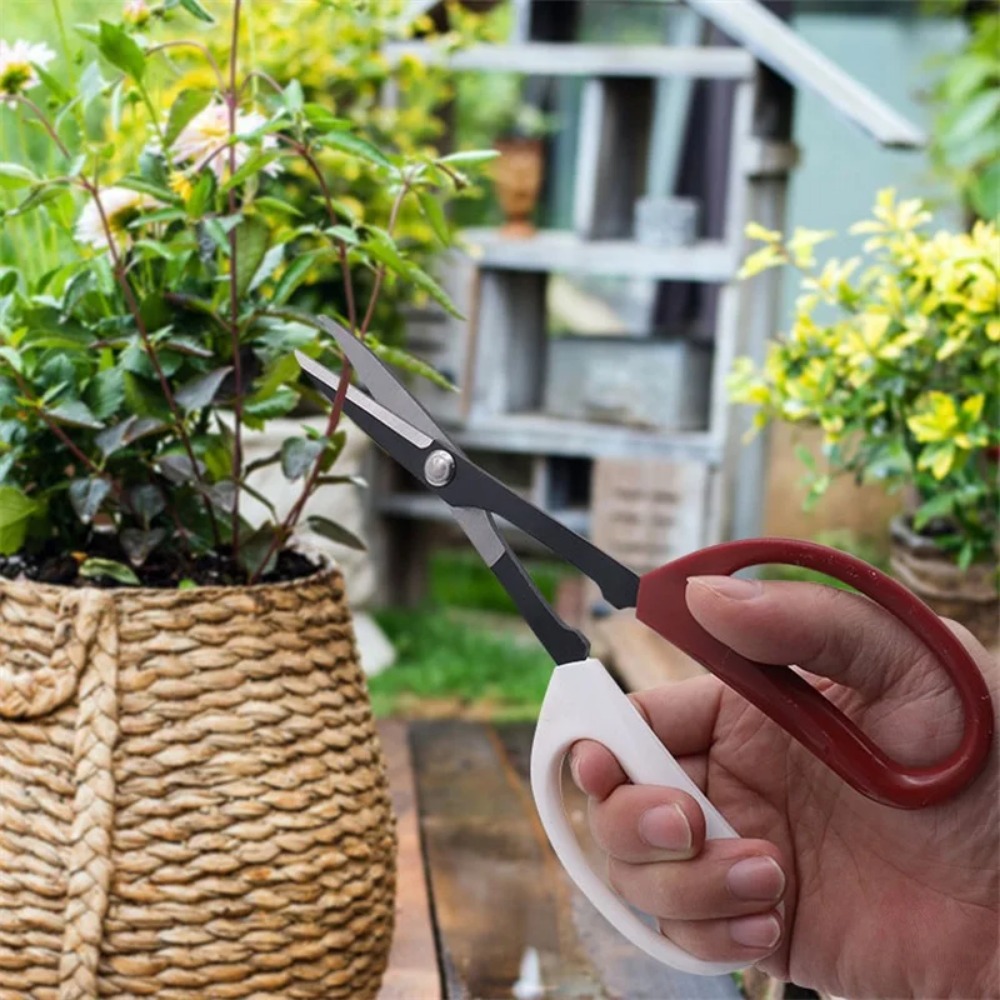 Narzędzie do bonsai Nożyczki z – Bonsai Garden Knife recenzja i cena