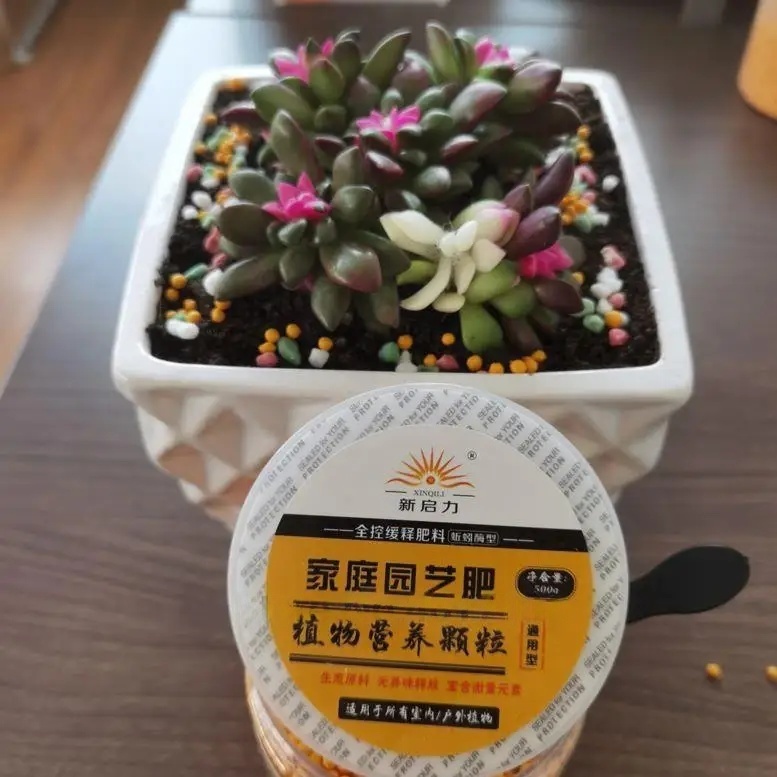 500g Ogólnoróżnowartościowy na – Bonsai Soil Akadama recenzja i cena