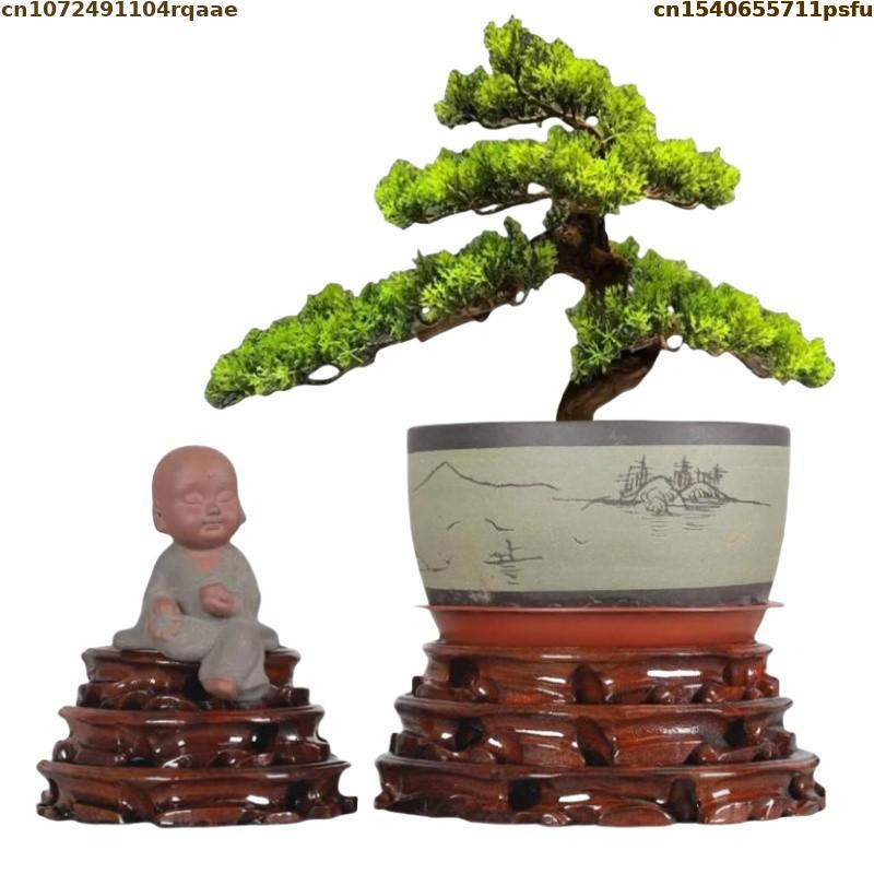 6-30cm Średnica Stojąca podsta – Bonsai Garden Display Stands recenzja i cena