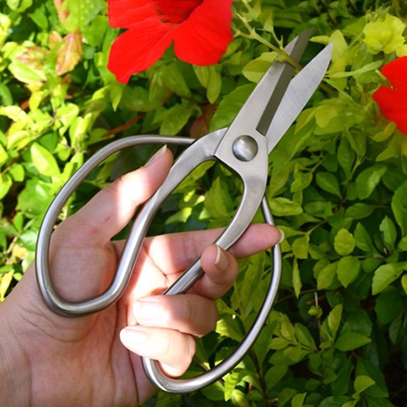 Nożyce do przycinania ze stali – Bonsai Garden Knife recenzja i cena