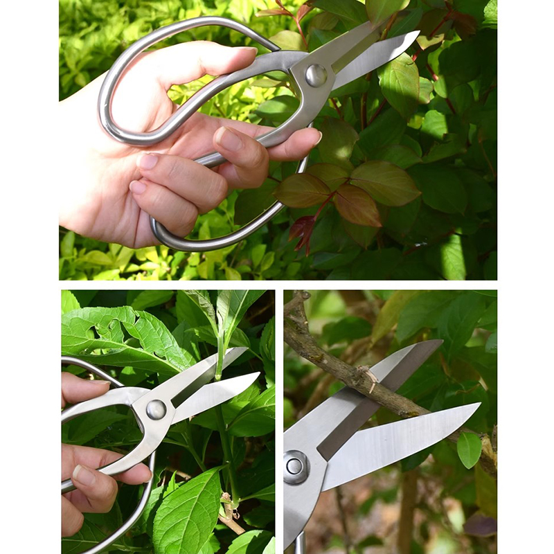 Nożyce do przycinania ze stali – Bonsai Garden Knife recenzja i cena