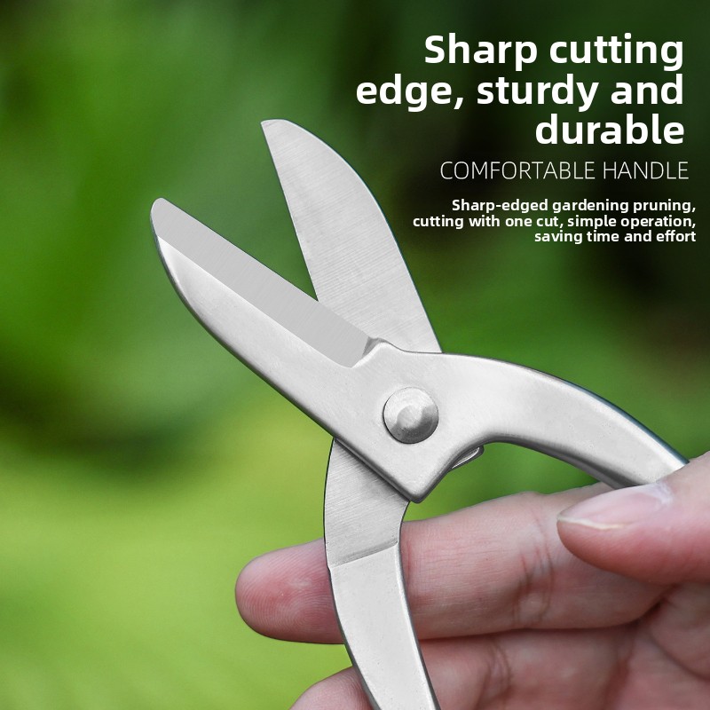 Nożyce do ikebany ze stali nie – Bonsai Garden Knife recenzja i cena
